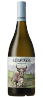 Survivor chardonnay